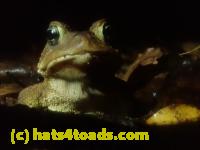 /home//u458753944/public_html/sourcegallery//McKaig Nature Center/2024-09-27/P9271570.JPG